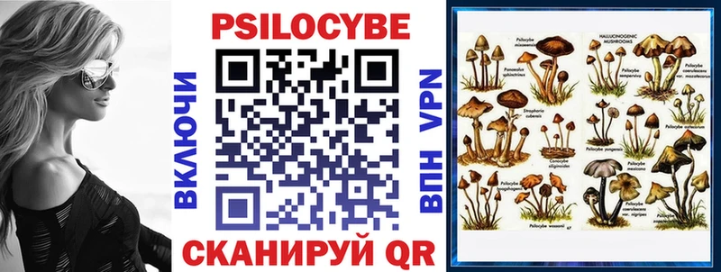 Купить где  Советская Гавань  Псилоцибиновые грибы мицелий 